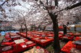 /album/galeria1/a120409-kyoto-05-jpg/