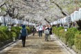 /album/galeria1/a120412-kamakura-00-jpg/