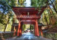 /album/galeria1/a317000-yaponiya-nikko-les-5520x3840-www-gdefon-ru-jpg/