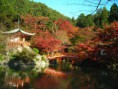 /album/galeria1/daigo-ji-in-autumn-kyoto-jpg/