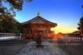 /album/galeria1/du-lich-nhat-ban-jpg/