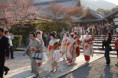 /album/galeria1/geisha-2-jpg/