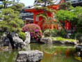 /album/galeria1/japanese-zen-gardens-with-pond-i3qqlwdk-jpg/