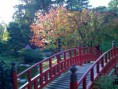 /album/galeria1/japon-pont2-jpg/