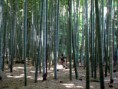 /album/galeria1/kamakura-takedera-03-jpg/