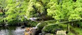 /album/galeria1/kamakura-blue-lotus-jpg/