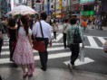 /album/galeria1/kawaii-lolita-in-tokyo-by-danchelle-jpg/